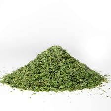 Parsley - Petroselinum crispum